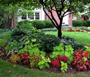 Get a beautiful landscaping job with D.C. Landscaping