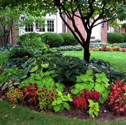 Get a beautiful landscaping job with D.C. Landscaping